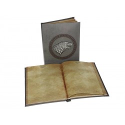 Notebook Game of Thrones - Stark Lumineux 