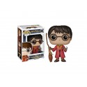 Figurine Harry Potter - Harry Potter Quidditch Exclu Pop 10cm