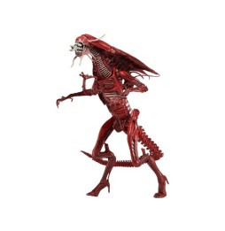 Figurine Aliens Genocide - Alien Queen Deluxe Edition Limitée 38cm