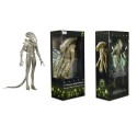 Figurine Aliens - Xenomorph Translucent Prototype Suit Concept 45cm