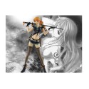 Figurine One Piece Flag Diamond Ship - Nami Code:B 25cm