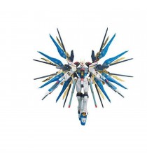 Maquette Gundam - Strike Freedom Gundam RG 14 1/144 13cm