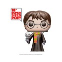 Figurine Harry Potter - Big Harry Potter Et Hedwig 45cm