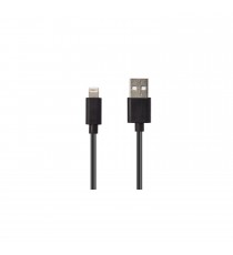 Câble USB de charge compatible avec iPhone, iPad, iPod Noir 1M