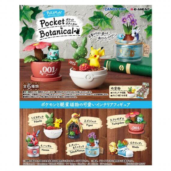 Set De 6 Figurines Pokemon Pocket Botanical