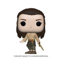 Figurine Game Of Thrones - Arya Training Pop 10cm