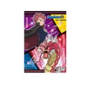 Puzzle Pokemon - Wataru & Gyarados / Leviator 300 Pcs