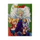 Cahier Lumineux Dragon Ball Z - Cell Final Battle