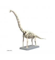 Maquette Dinosaure - Plannosaurus Brachiosaurus 27cm