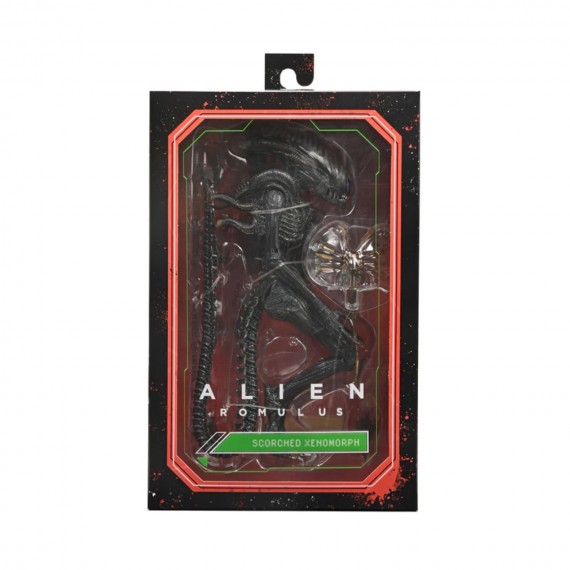 Figurine Alien Romulus Ultimate - Scorched Xenomorph 23cm