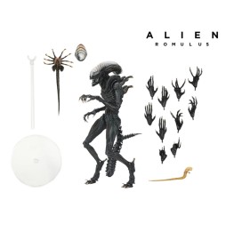 Figurine Alien Romulus Ultimate - Scorched Xenomorph 23cm