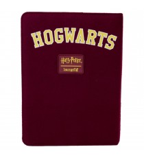 Notebook Journal Harry Potter - Hogwarts Quidditch