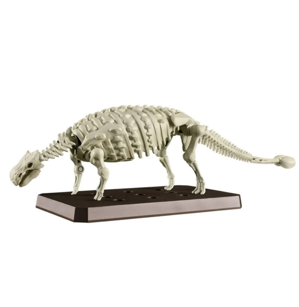 Maquette Dinosaure - Plannosaurus Ankylosaurus