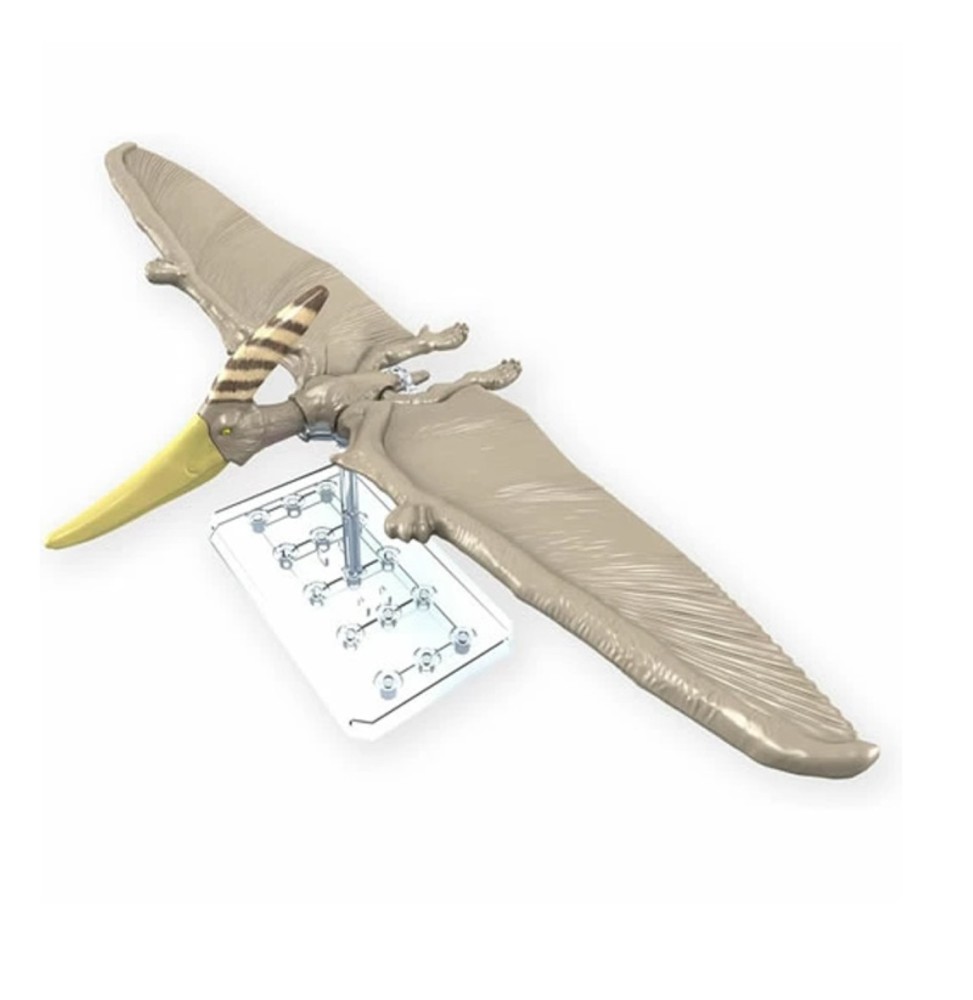 Maquette Dinosaure - Plannosaurus Pteranodon