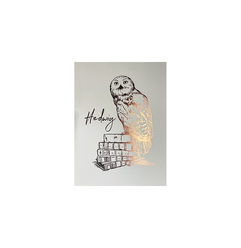 Harry Potter Artprint - Hedwige Letterpress (30 x 40)