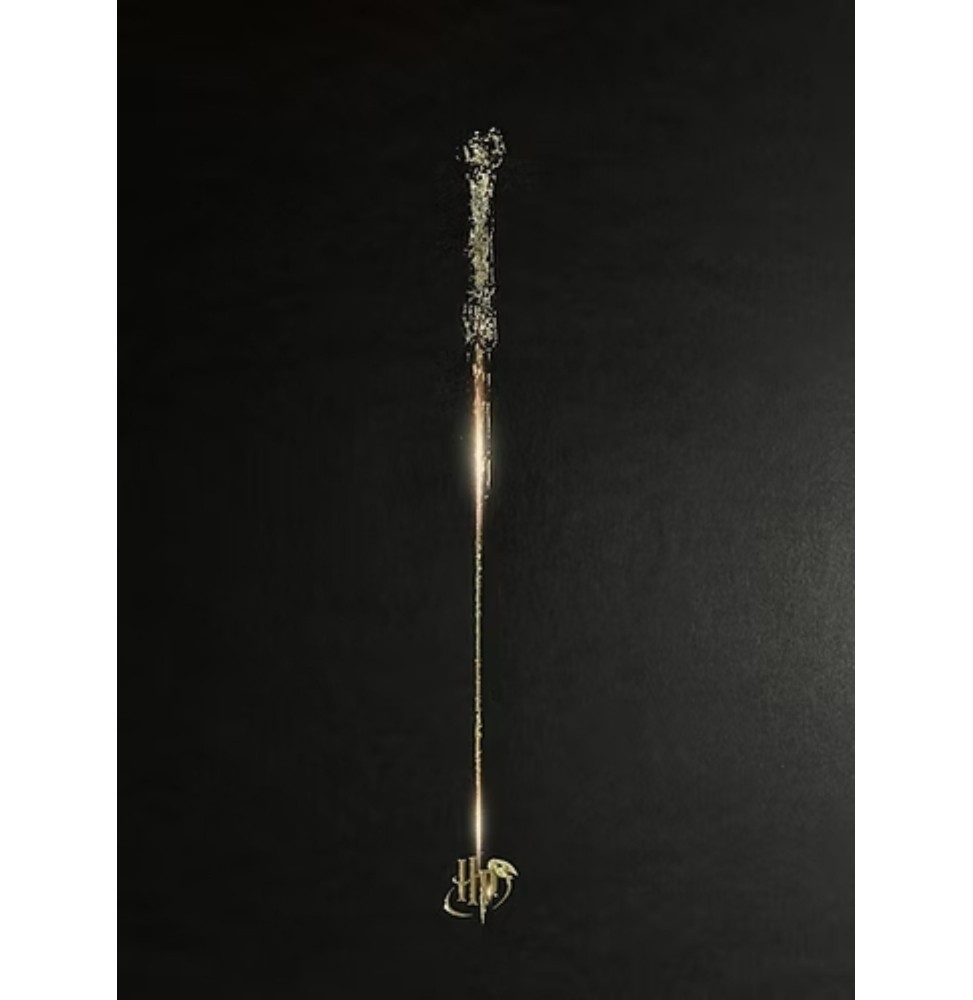 Harry Potter Artprint - La Baguette (Letterpress 30 x 40)