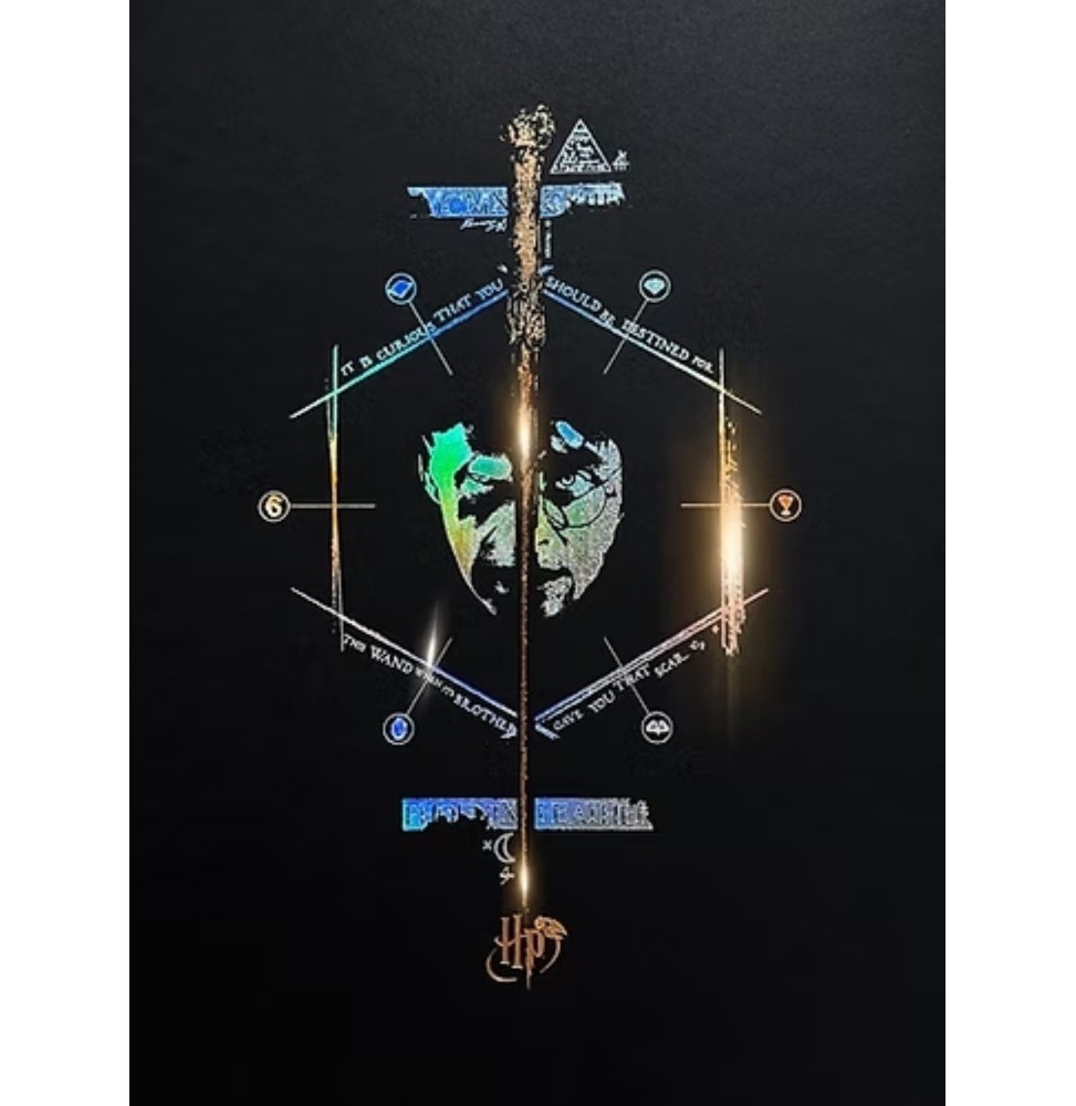 Harry Potter Artprint - Le Portrait (Letterpress 30 x 40)