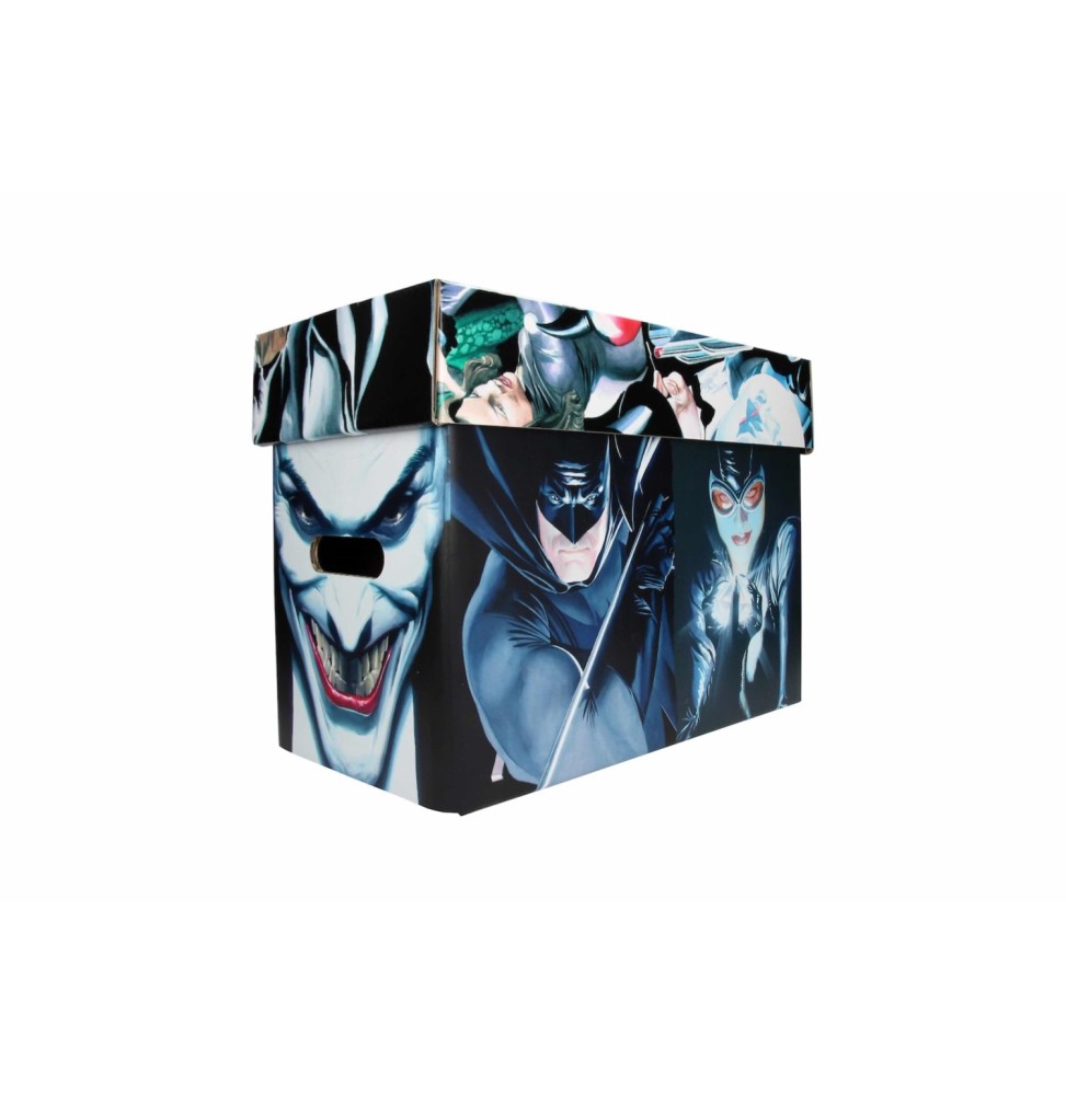 Collector Box DC Universe - Batman Alex Ross
