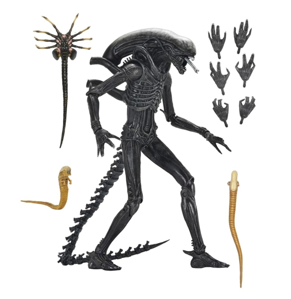 Funko Pop ! Alien – Xénomorphe XX121 (Ultimate) 18 cm