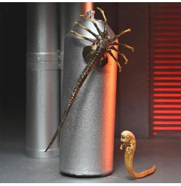 Funko Pop ! Alien – Xénomorphe XX121 (Ultimate) 18 cm