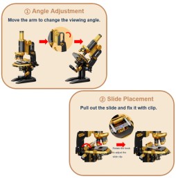 Pantasy Retro Collection 85034 - Microscope (38 cm)