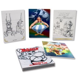 Astérix Panini Infinito TC - Treasure Box