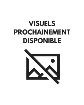 Changement Batterie Microsoft Surface X 1876