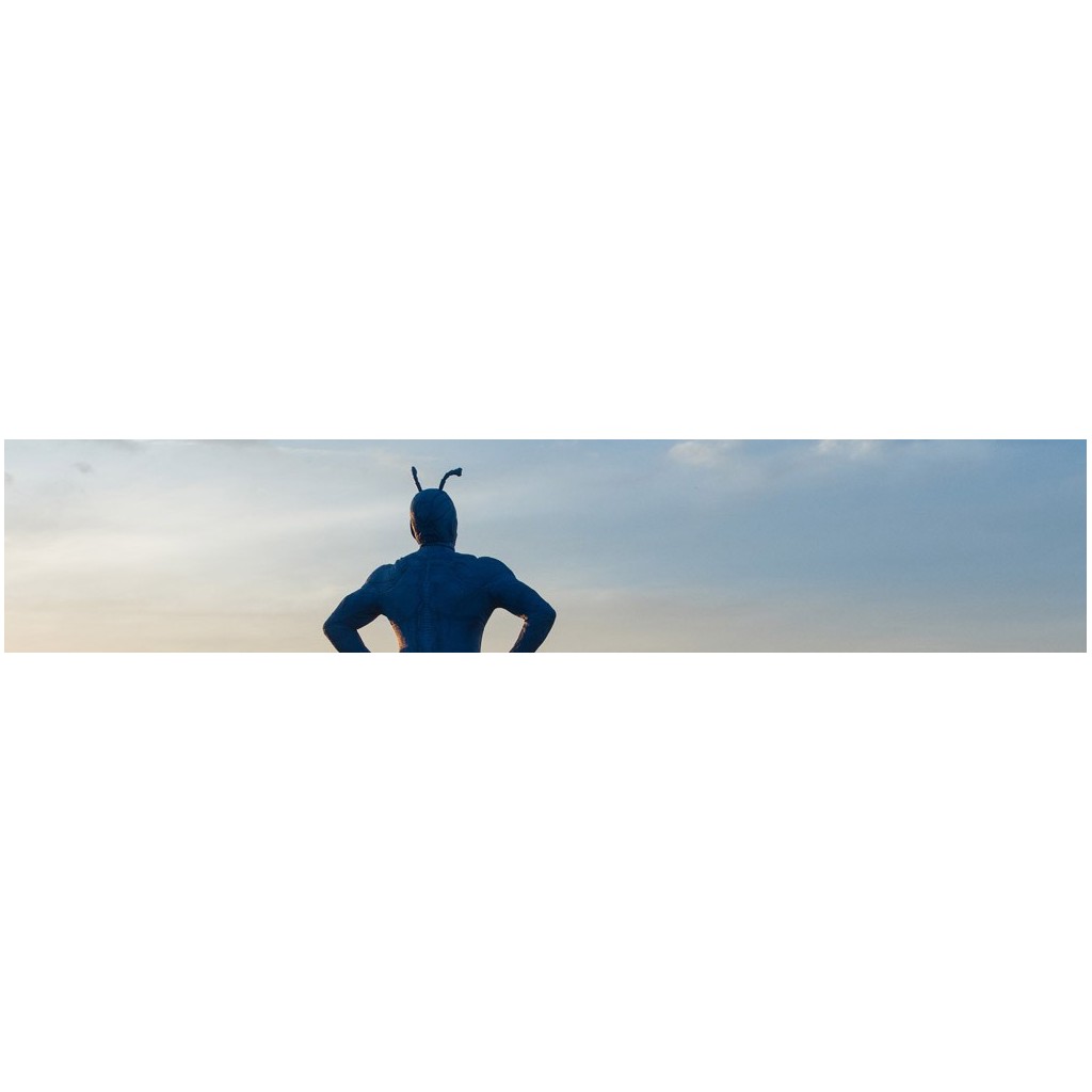 The Tick