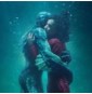 Shape Of Water