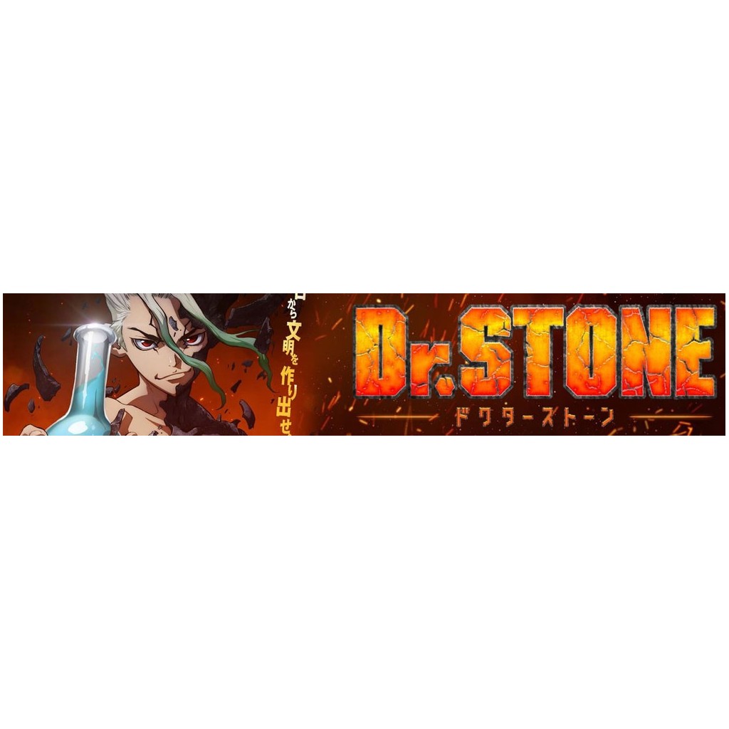Dr Stone