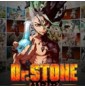 Dr Stone